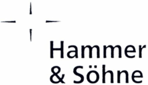 Hammer & Söhne Logo (DPMA, 29.07.2004)