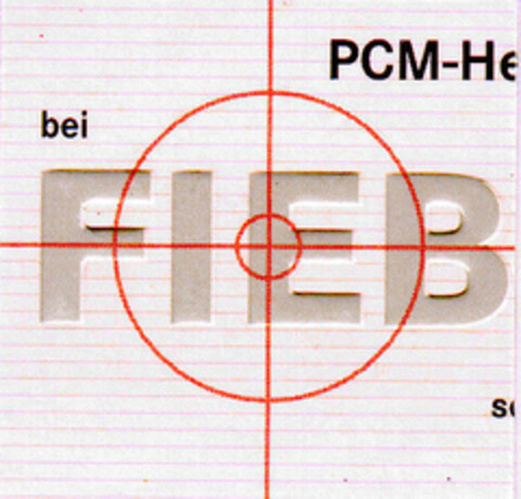 bei FIEB Logo (DPMA, 26.10.2001)