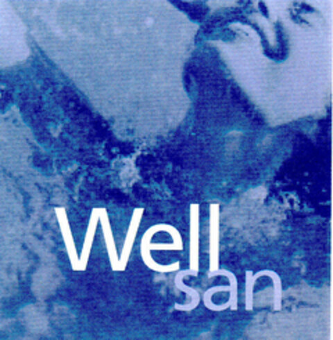Well san Logo (DPMA, 25.06.2001)