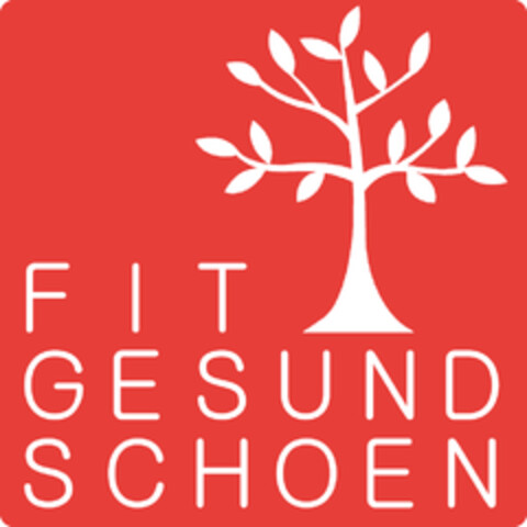 FIT GESUND SCHOEN Logo (DPMA, 20.07.2010)