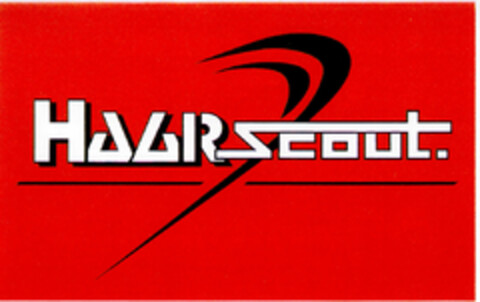 HAARscout. Logo (DPMA, 10.11.2000)