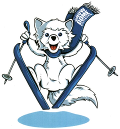 SNOW DOME BISPINGEN Logo (DPMA, 03.07.2008)