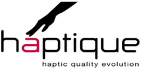 haptique haptic quality evolution Logo (DPMA, 26.10.2010)