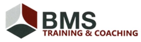 BMS TRAINING & COACHING Logo (DPMA, 07.10.2016)