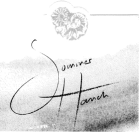 Sommer Hauch Logo (DPMA, 29.06.1995)