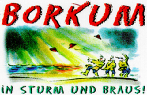 BORKUM iN STURM UND BRAUS! Logo (DPMA, 12/10/1998)