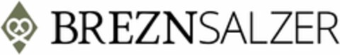 BREZNSALZER Logo (DPMA, 30.05.2023)