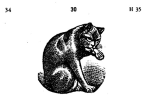 30 Logo (DPMA, 19.07.1884)