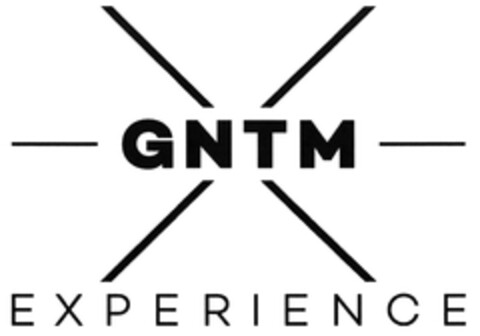 GNTM EXPERIENCE Logo (DPMA, 07.11.2019)