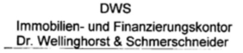 DWS Immobilien- und Finanzierungskontor Dr. Wellinghorst & Schmerschneider Logo (DPMA, 28.12.1999)