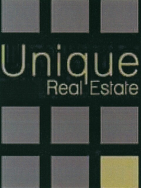Unique Real Estate Logo (DPMA, 16.01.2012)