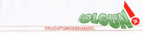 GEBR. OLGUN! FRUCHTGROSSHANDEL Logo (DPMA, 02.04.2003)