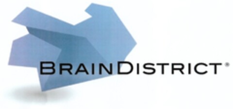 BRAINDISTRICT Logo (DPMA, 30.07.2009)