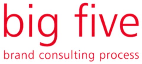 big five brand consulting process Logo (DPMA, 10.11.2009)