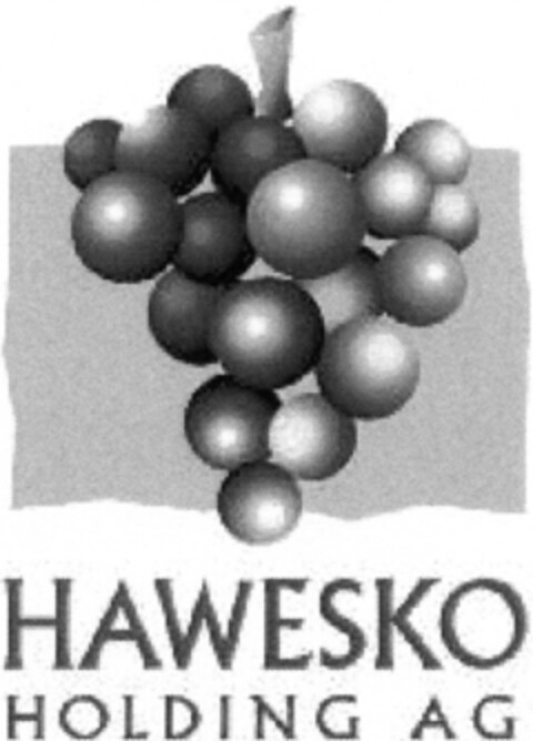 HAWESKO HOLDING AG Logo (DPMA, 15.06.2009)