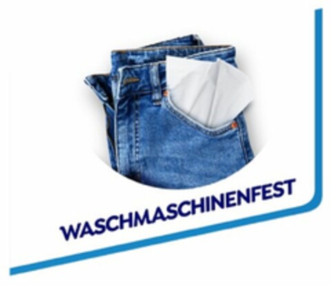 WASCHMASCHINENFEST Logo (DPMA, 09/25/2024)