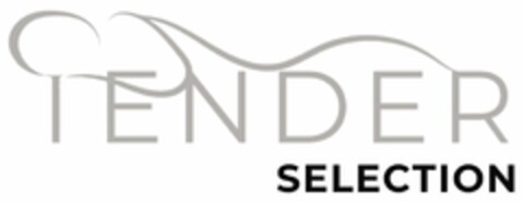 TENDER SELECTION Logo (DPMA, 04.06.2024)