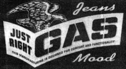 Jeans JUST RIGHT GAS Mood Logo (DPMA, 04.12.1992)