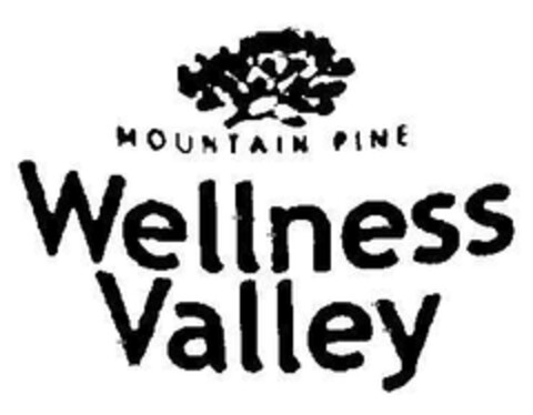 MOUNTAIN PINE Wellness Valley Logo (DPMA, 27.08.2002)