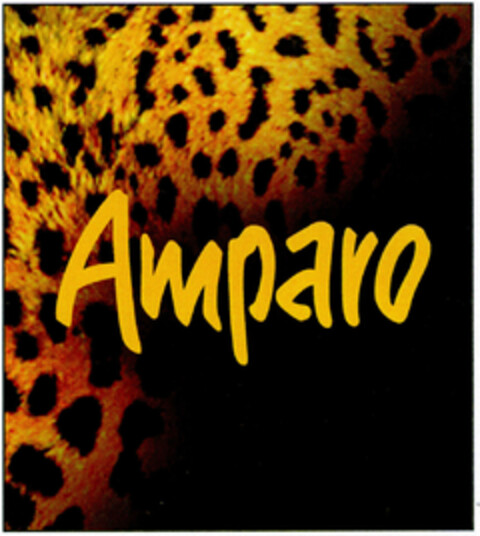 Amparo Logo (DPMA, 01.03.2000)