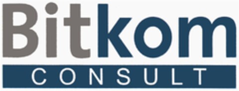 Bitkom CONSULT Logo (DPMA, 14.10.2010)