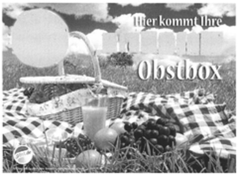 Hier kommt Ihre Obstbox Logo (DPMA, 29.01.2011)