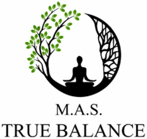 M.A.S TRUE BALANCE Logo (DPMA, 15.05.2023)