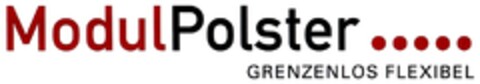 ModulPolster GRENZENLOS FLEXIBEL Logo (DPMA, 12/16/2010)