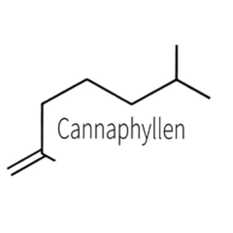 Cannaphyllen Logo (DPMA, 01.11.2019)