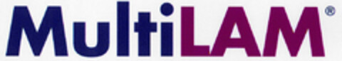 MultiLAM Logo (DPMA, 02/06/2002)