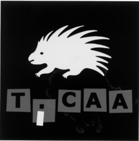 TICAA Logo (DPMA, 10.02.2005)