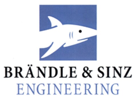 BRÄNDLE & SINZ ENGINEERING Logo (DPMA, 10.03.2009)