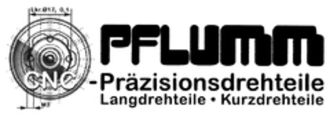 PFLUMM Logo (DPMA, 12.10.2011)