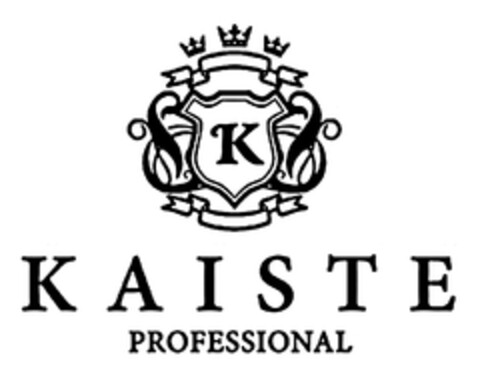 KAISTE PROFESSIONAL Logo (DPMA, 09.12.2011)