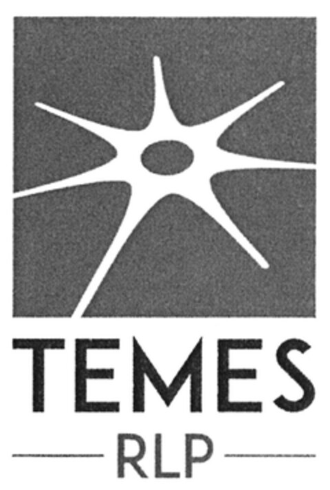 TEMES RLP Logo (DPMA, 01/05/2017)