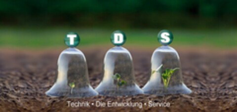 TDS Technik · Die Entwicklung · Service Logo (DPMA, 04.06.2010)