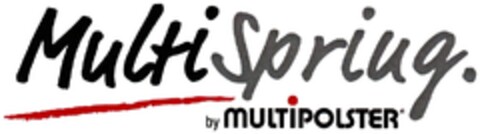 MultiSpring. by MULTIPOLSTER Logo (DPMA, 07/19/2012)