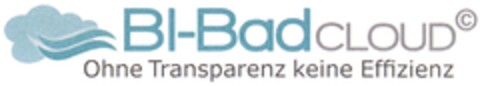 BI-BadCLOUD Ohne Transparenz keine Effizienz Logo (DPMA, 04/19/2014)
