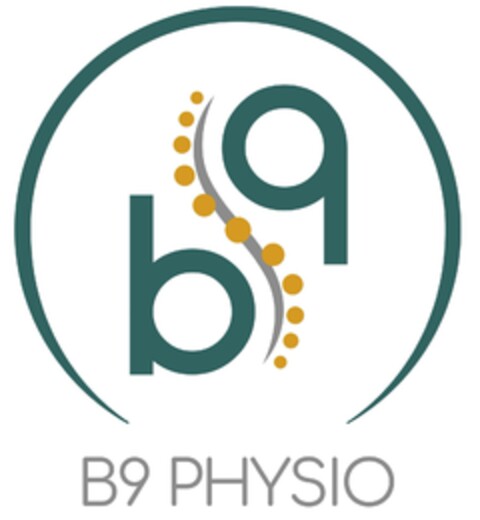 b9 B9 PHYSIO Logo (DPMA, 16.04.2024)