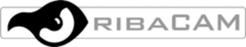 RIBACAM Logo (DPMA, 21.01.2014)