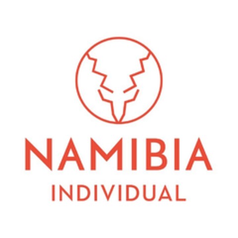 NAMIBIA INDIVIDUAL Logo (DPMA, 26.10.2016)