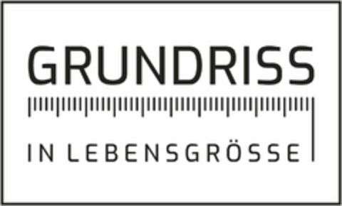 GRUNDRISS IN LEBENSGRÖSSE Logo (DPMA, 05/07/2021)