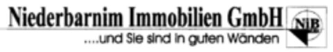 Niederbarnim Immobilien GmbH Logo (DPMA, 06/02/1997)