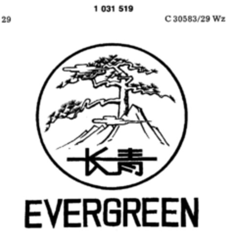 EVERGREEN Logo (DPMA, 28.09.1981)