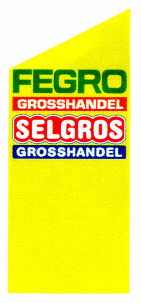 FEGRO GROSSHANDEL SELGROS GROSSHANDEL Logo (DPMA, 30.06.2001)
