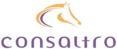 consaltro Logo (DPMA, 08.07.2013)