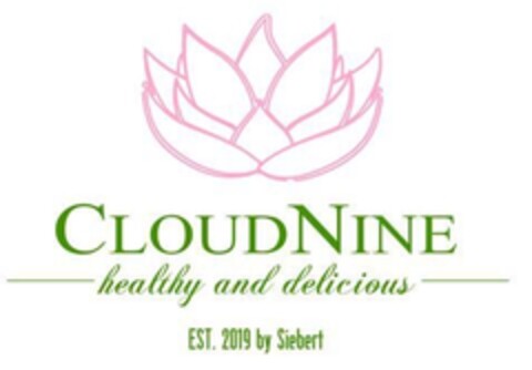 CLOUDNINE Logo (DPMA, 03/18/2019)