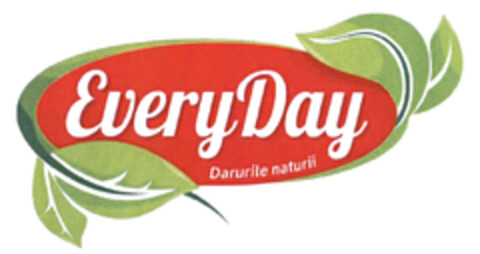 EveryDay Logo (DPMA, 28.10.2020)