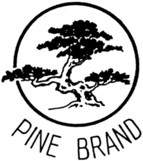 PINE BRAND Logo (DPMA, 26.03.1991)