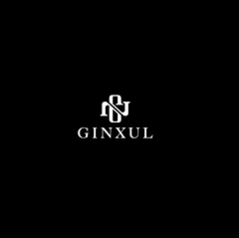 GN GINXUL Logo (DPMA, 17.11.2023)